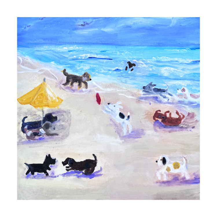 Salty Paws and Sandy Noses